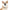 Diggity Dog - Tan/Oatmeal Dog Collar