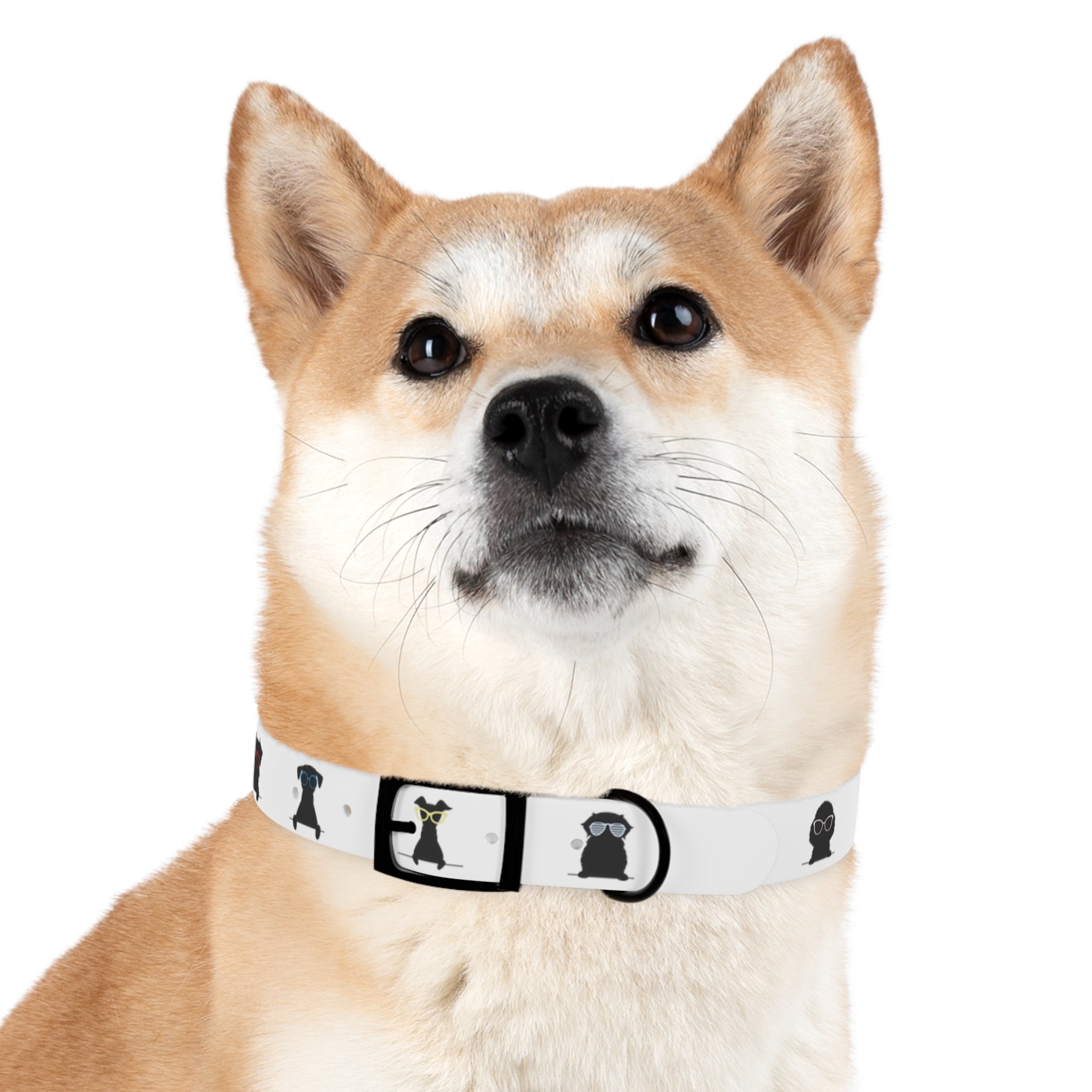 Diggity Dog - White/Black Dog Collar
