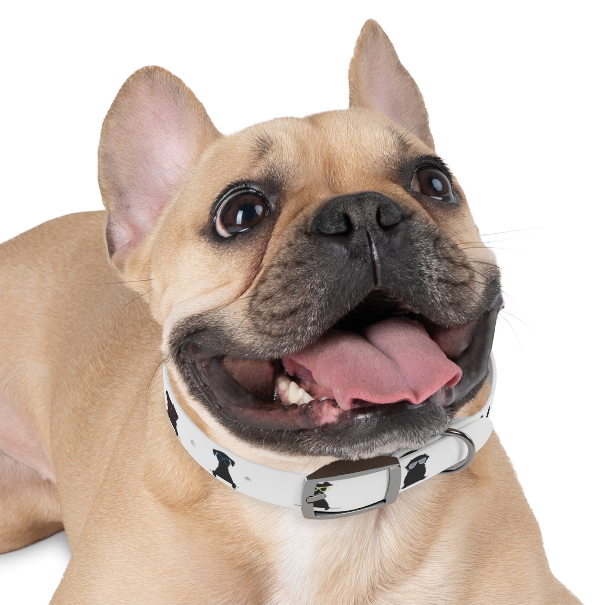 Diggity Dog - White/Black Dog Collar