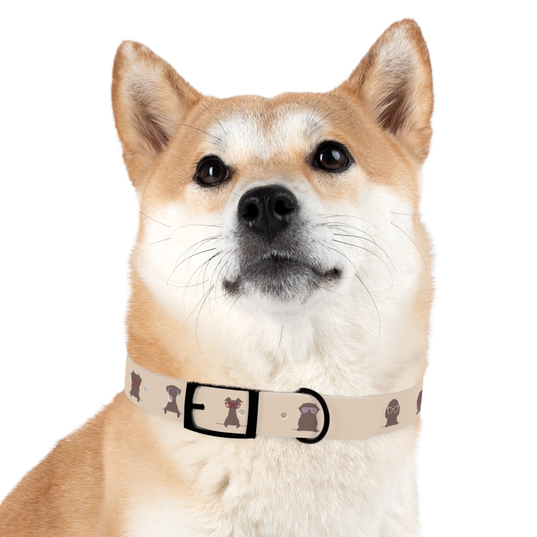 Diggity Dog - Tan/Oatmeal Dog Collar