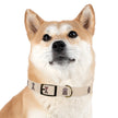 Diggity Dog - Tan/Oatmeal Dog Collar