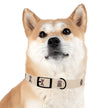 Diggity Dog - Tan/Oatmeal Dog Collar