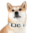 Diggity Dog - White/Black Dog Collar