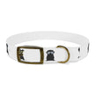 Diggity Dog - White/Black Dog Collar