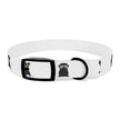 Diggity Dog - White/Black Dog Collar